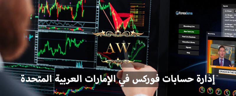 إدارة حسابات فوركس في الإمارات