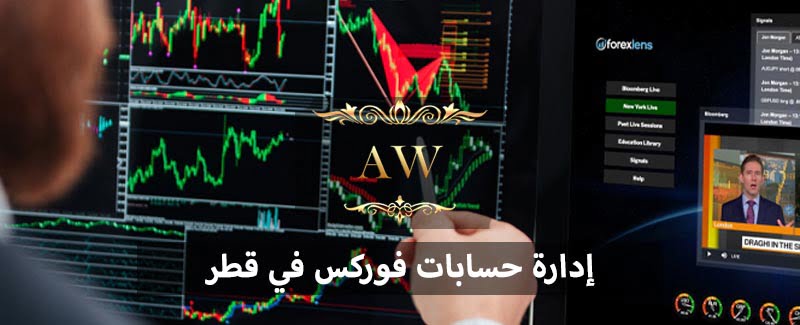 إدارة حسابات فوركس في قطر